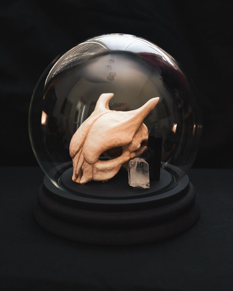 Mewtwo Pokémon Skull Terrarium

This artist's Mewtwo skull terrarium asks what a psychic legend might leave behind. I would like to know who was brave enough to excavate it.