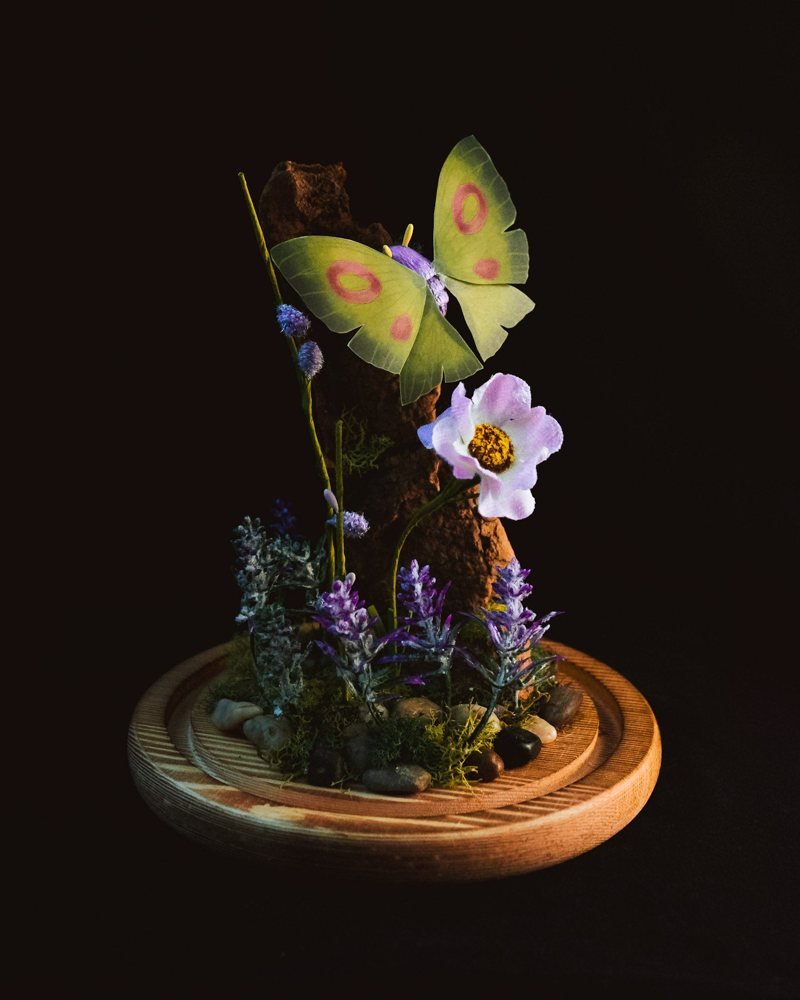 Dustox Pokémon Terrarium
Dustox also has a terrarium version, staged among miniature scenery. The moth got an apartment after its museum portrait.